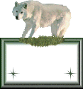 Wolf in Grass Sig Tag